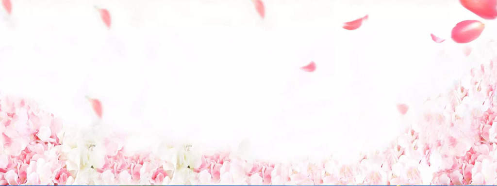 heypik-pink-romantic-petals-banner-background_27120823